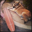 Koastal 47" T-Band Longboard Skateboard - Complete